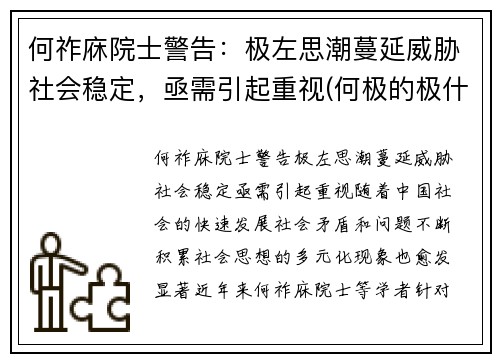 何祚庥院士警告：极左思潮蔓延威胁社会稳定，亟需引起重视(何极的极什么意思)